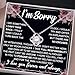 Chiside I'm Sorry Necklace For Her, Im Sorry Neckace Gift, Apology Necklace For Her Women, Forgive Me Gifts For Her, I'm Sorry For Hurting You Neckace, Apologize Gift For Wife Girlfriend Soulmate