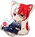 AOOPOO Anime My Hero Academia Tenere Peluche Bambola Giocattolo Cuscino Todoroki Shoto Cos Cuscino Farcito Regalo