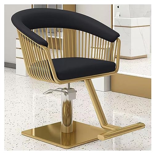 Sillón De Peluquería Profesional con Bomba