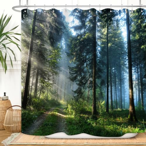 ZXMBF Trees Forest Sunlight Shower Curtain Straight Tall Trees Sunshine Attractive Nature Landscape Waterproof Fabric Bathroom Decor 72x72 Inch Green Plastic Hooks 12 PCS