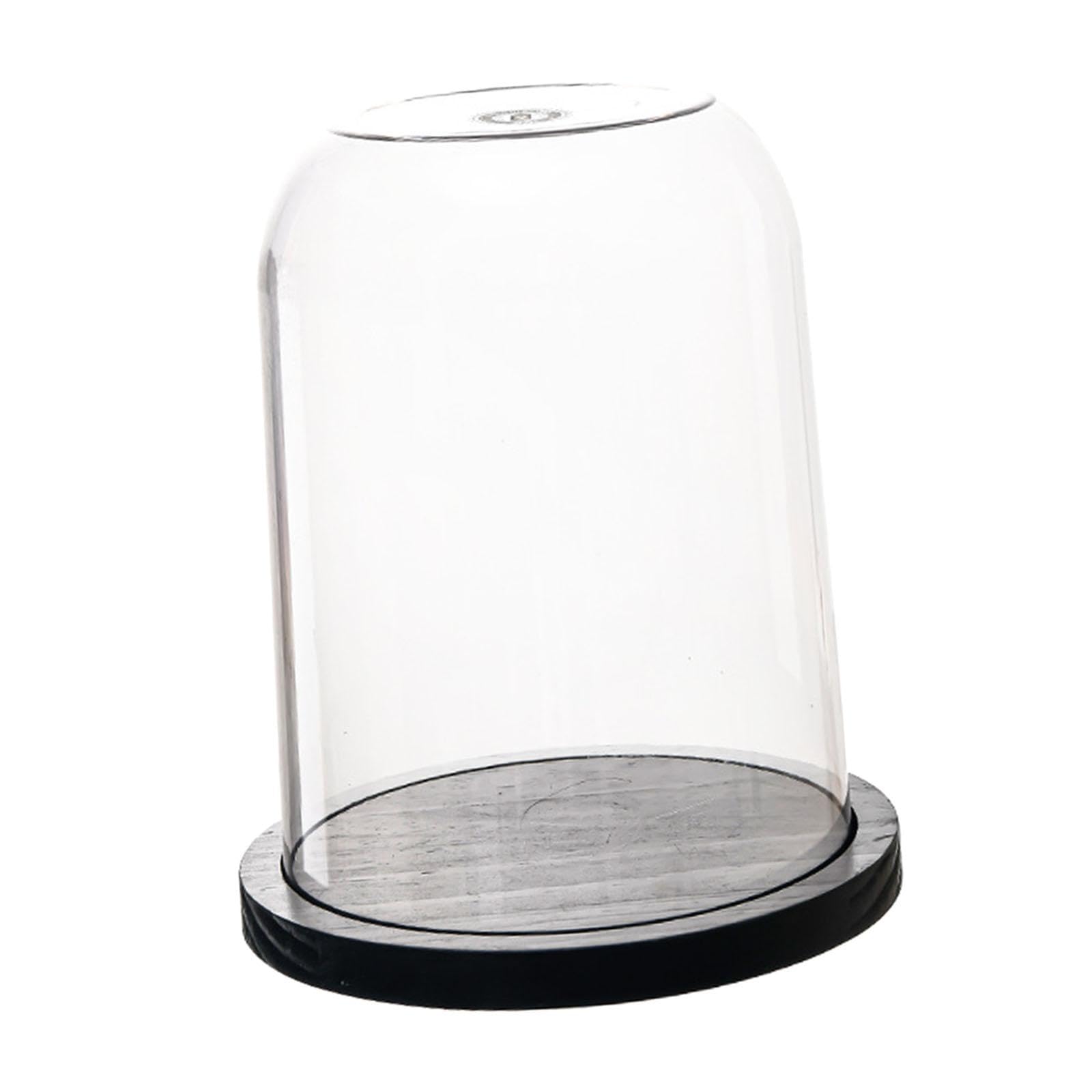 Qianly Cubierta de Cristal en Forma de Cúpula con Base de Madera para Exhibir Joyas Y Estatuas, 23 Cm X 28.4 Cm