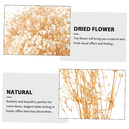 Arreglo de flores secas Gypsophila para decoración miniatura 4