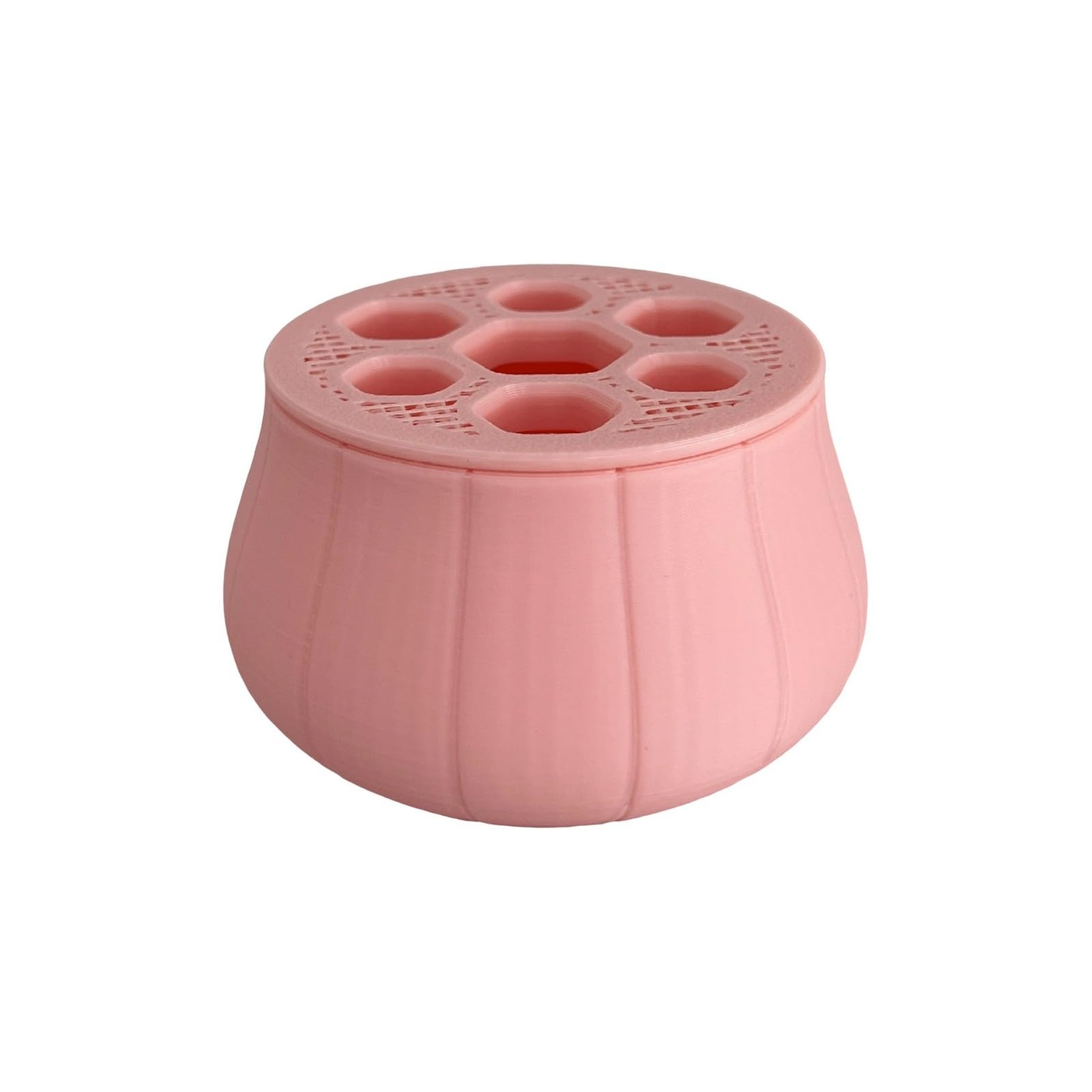 ZBIianxer Hydroponic Onion Planter for Soil Without Gardening and Fast Scallion Cultivation in Homes Environment Indoor Plant Decoration
