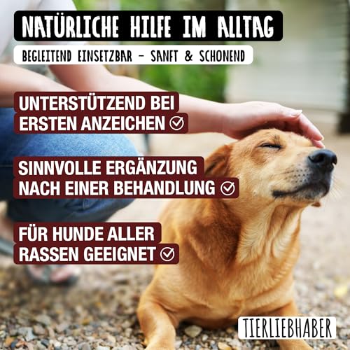 TIERLIEBHABER - Harn & Nieren Drops weiche Hundeleckerli – Von Tierärzten entwickeltes Nierenfutter Hund – Als Unterstützung der Blasen- und Nierenfunktion – Natürliches Hund Nierenfutter – 350g
