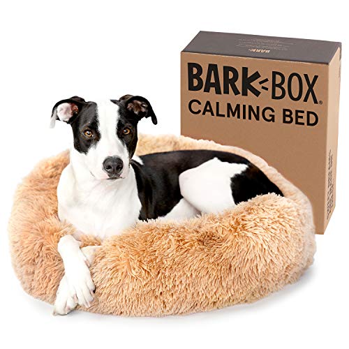 Barkbox Petsupplies South Africa Buy Barkbox Petsupplies Online