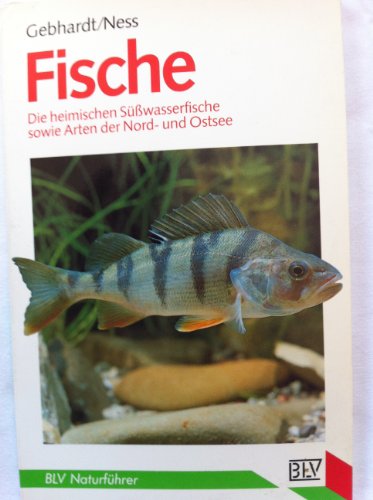 Fische. Die heimischen Süßwasserfische sowie Arten der Nord- und Ostsee