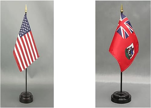 Miniatura 112 de Juego de banderas de escritorio de Afganistán, hecho en Estados Unidos, de rayón de 4 x 6 pulgadas, escritorio de oficina y pequeñas banderas