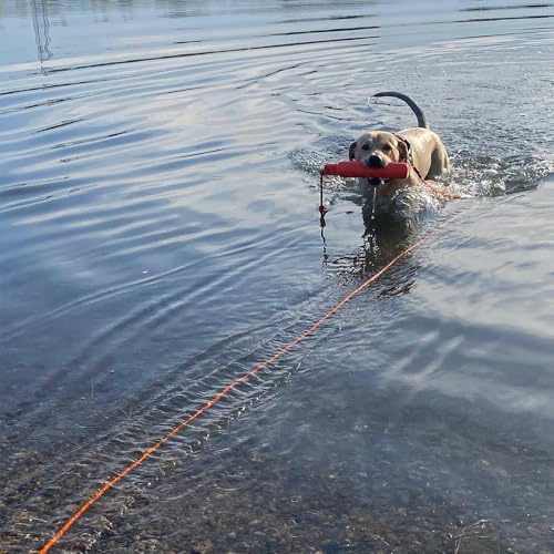 Schwimmende Schleppleine für Hunde | Robuste Wasserleine ohne Handschlaufe | Schwimmt auf dem Wasser | Verschiedene Längen, 6 mm Durchmesser | Handgefertigt in Deutschland (10m)