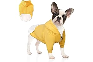 Adorable English Bulldog Jacket for Comfy Winter Days