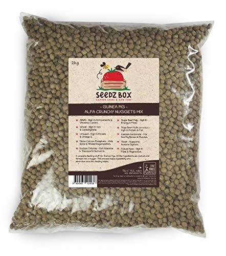 Seedzbox alimento premium de verduras y semillas para cobayas. Comida natural y completa para conejos de indias –con croquetas crujientes, alfalfa, trigo, linaza. Alto en vitamina C, calcio. Bolsa 2kg