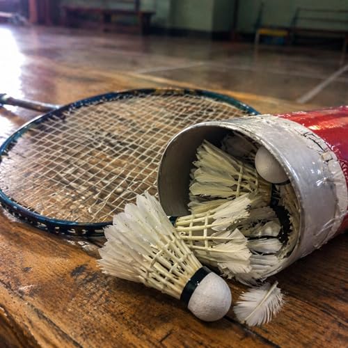 Badminton Shuttlecock Crisis.