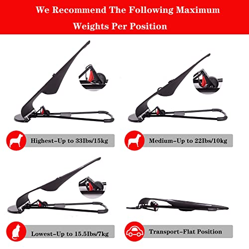 Dog Rocking Chair, Portable Cat Rocking Chair, Summer Pet Dog Bed Cat Sofa Foldable Rocking Chair Small Pet Rocking Bed #TOP4