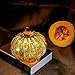 Romingo Mercury Glass Pumpkin Light with Timer for Halloween Pumpkin Decorations Fall and Thanksgiving Christmas Decor,Gold, 5.5 inches