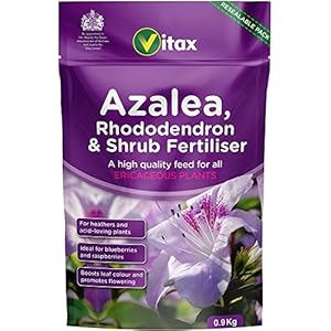 Vitax Azalea, Rhododendron & Struik Meststof 0,9kg Pouch