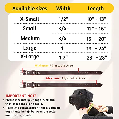 Adityna - Leather Dog Collar For Small Dogs - Classic Style, Soft And Strong, Heavy Duty, 100% Genuine Leather, Handmade (S - Neck: 12-16 Inches, Brown) #TOP1