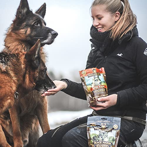 Wolfsblut Cracker Wide Plain mit Pferdefleisch & Süßkartoffel für Hunde zur Belohnung - Doppelpack - 2 x 225g