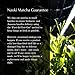 Naoki Matcha Barista Blend Premium Grade Matcha - Authentic Japanese First Harvest Premium Grade Matcha Green Tea Powder from Japan (100g / 3.5oz)