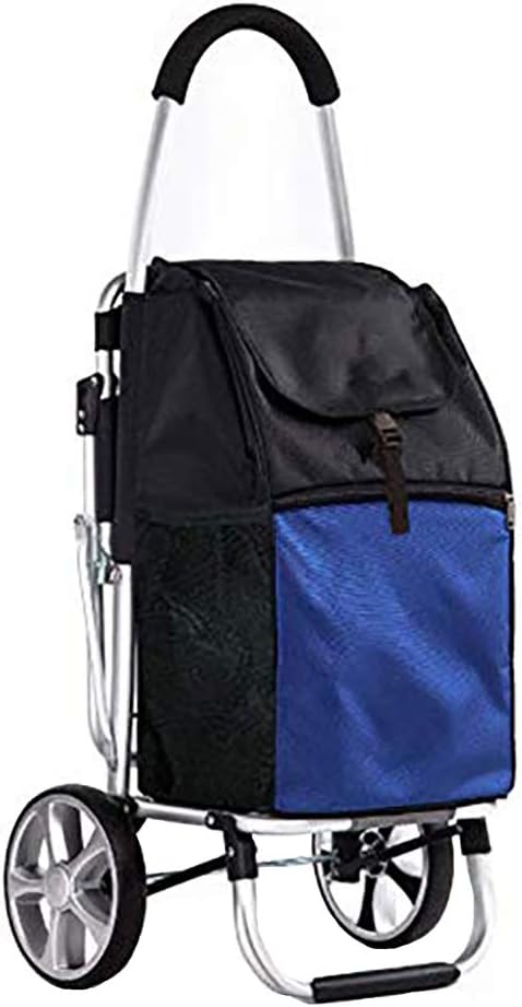 Carri pieghevoli per il patio del giardino