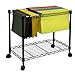 Oceanstar Portable 1-Tier Metal Rolling File Cart, Black,24 in