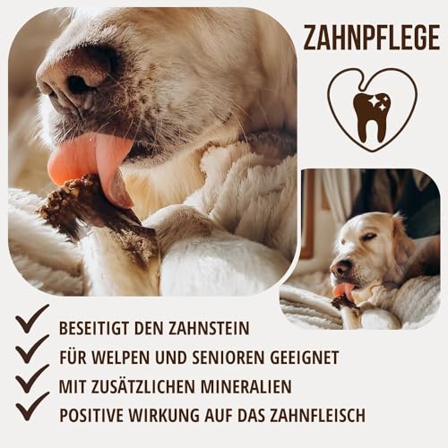 PetLove Damhirsch Geweihstange für Hunde & Welpen • Hirschgeweih Hund • Natürliches Geweih • Kauspielzeug Größe M (75-150g)
