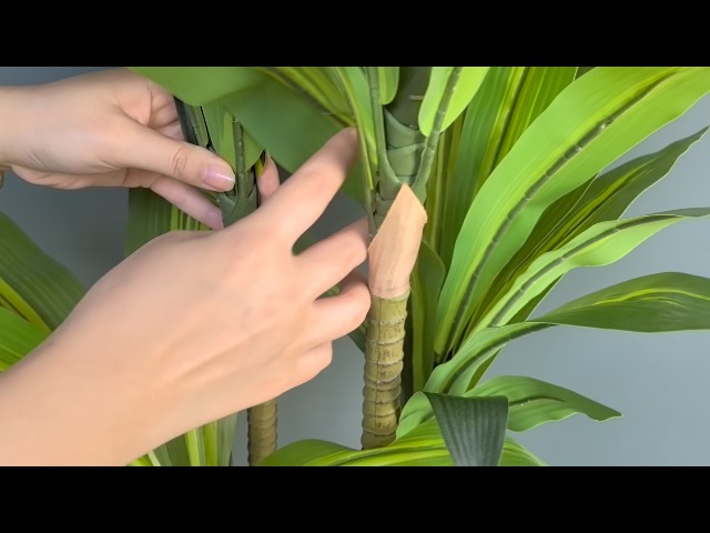 Albero Del Drago Artificiale 150cm | Pianta Finta Tropicale Per Interni - Foto 9