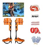 RANLOVE Tree Climbing Spikes Set, 304 Stainless Steel Adjustable Tree Climbing Spike 2 Gears and Non-Slip Pedal, Tree Climbing Spikes Tool for Climbing Trees, Picking Fruit (Leather with Belt)