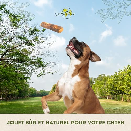 Anlolive | Pack de 2 Jouets à Mâcher Naturels Taille L 20-23 cm | Chiens Moyens et Grands | Bois d'olive | Résistant, Sain et Sûr | Soins Dentaires et Soulagement du Stress – vue 6