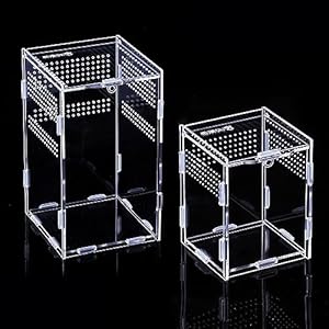 Toweboory 2 Reptil Fütterungsbox Transportboxen Acryl