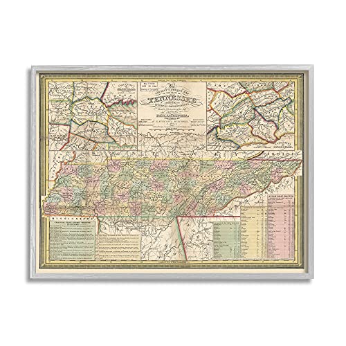 Stupell Industries Historic Tennessee Tourist Map Vintage US State Cartography, Design by Daphne Polselli Gray Framed Wall Art, 20 x 16, Beige