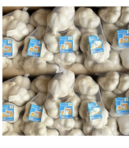 にんにく10kg 最高級にんにくMサイズ 厳選にんにく 青森県産ホワイト六片種にんにく 国産にんにく 最高級にんにく A品