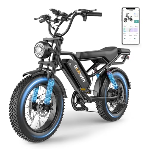 Qlaway 20" Fat Tire Electric Bikes for Adults, 750w Electric