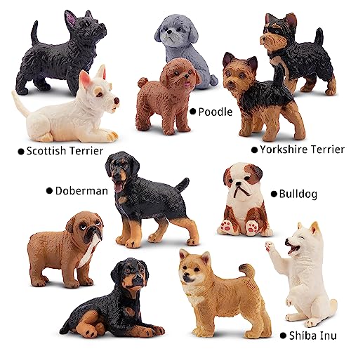 Preescolar, Toy Imagen adicional