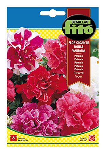 Semillas Fitó 633 - Semillas de Petunia Flor Gigante Doble Variada