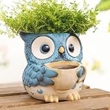 Saysmile Unique Owl Plant Pots Indoor, Cute Small Succulent Pots with Drainage Hole, Watering Owl Planters for Indoor Outdoor Plants, Resin Flower Pot for String of Pearls, Gift Ideas for Mother