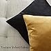 GIGIZAZA Gold Velvet Decorative Throw Pillow Covers,18x18 Pillow Covers for Couch Sofa Bed 2 Pack Soft Cushion Covers