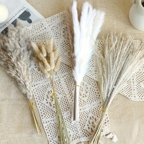 60pcs Flores Secas Preservadas Pampas Grass Decoración miniatura 2
