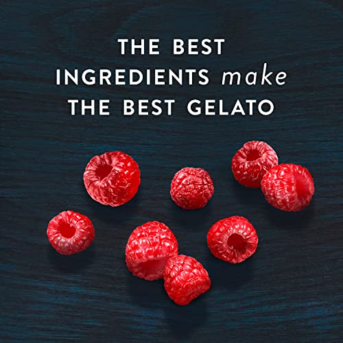 Talenti Sorbetto For A Delicious Non Dairy Ice Cream Alternative Roman Raspberry Made With Non-Gmo Ingredients 1 Pint #TOP4