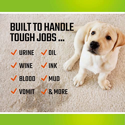 Clr Stain-Free Carpet, Floor & Fabric, Fast-Acting Stain Remover, 26 Ounce #TOP2