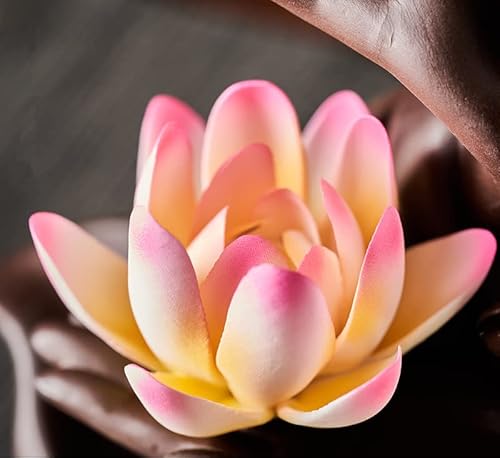 Ceramic Lotus Incense Burner Waterfall Chinese Backflow Incense Sticks Burner Holder With Led Light Incense Cones For Home Office Decor (White Lotus) #TOP5