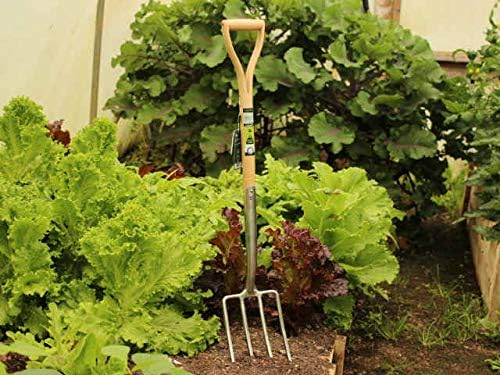 Burgon & Ball GTB/SFDRHS RHS Stainless Digging Fork