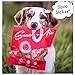 SnackOMio – Premium Hundesnack – zarte Hühnerbrust Filetstreifen, getreidefrei, 1er Pack (1 x 500g)