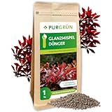 Purgrün® Glanzmispel-Dünger 1 kg – Organisch-mineralische Rezeptur – Feinkörniges Krümelgranulat – NPK 8,5+4+5,5 – Extra Magnesium für eine leuchtende Blattfärbung – Verbessert die Bodenqualität