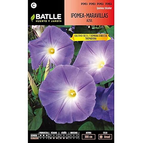 Semillas Batlle Ipomea Azul para ornamentación Cover