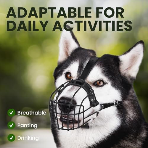 BRONZEDOG Hundemaulkorb Verstellbar Robustes PVC/Metalldrahtkorb für Große und Sehr Große Hunde mit Lederbändern Atmungsaktiv, Trinkfähig, Training, Verhindert Beißen (Husky & Doberman, PVC)