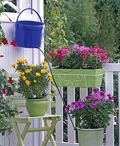 Blumat Medium Box Kit - Automatic Irrigation for Up to 12 Plants