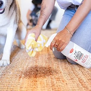 SKOUT'S HONOR: Stain & Odor Severe Mess - Advanced Formula DOG 35 oz. - NEW SKOUT’S HONOR: Stain & Odor Severe Mess – Advanced Formula DOG 35 oz. – NEW
