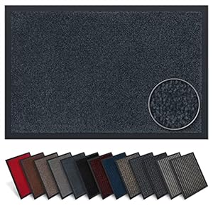 Carpet Diem Rio Deurmat – 5 maten – 10 kleuren deurmat met zeer sterke vuil en vochtopname – Schoonloopmat