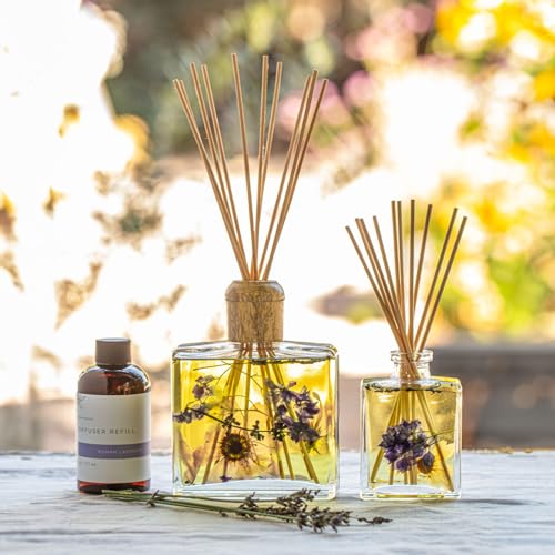 Difusor Botánico Aromatizador Roman Lavender 13oz miniatura 2