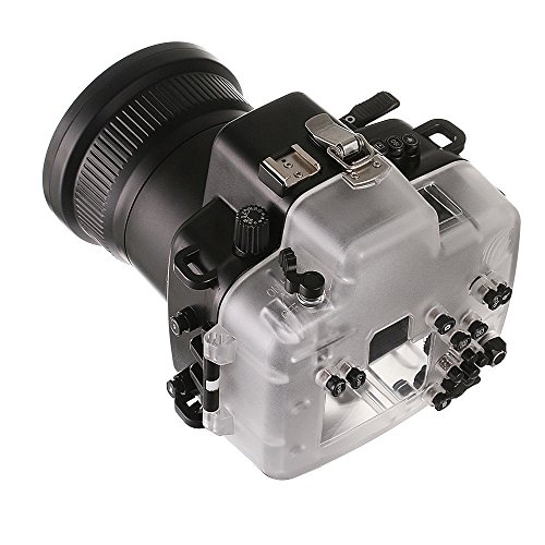 Ficha técnica WeniChen Pro Carcasa impermeable para cámara Canon EOS 760D 40 m 18-135 mm - Fernando Cortés