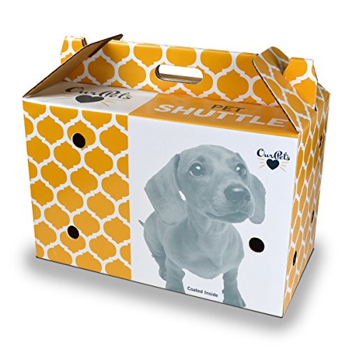 OurPets Pet Shuttle Cardboard Carrier For Small Animals with Moisture Resistant Coating Perfect For Small Cats And Dogs